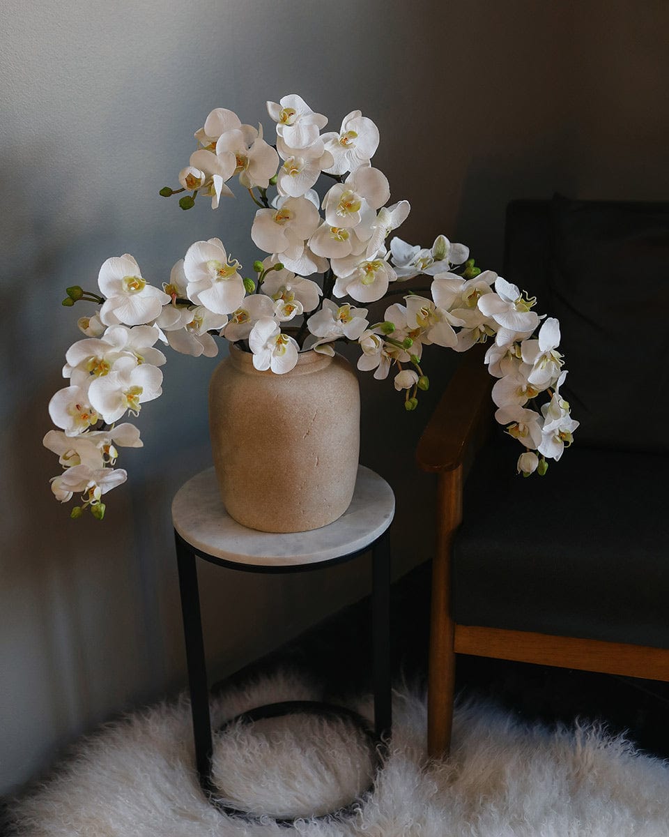 White Flowering Phalaenopsis Orchid 34" - 2