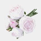6 Cabbage Rose Bundle — text removed