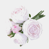 6 Cabbage Rose Bundle — text removed