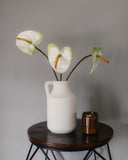 Painters Palette Anthurium 22" - 2