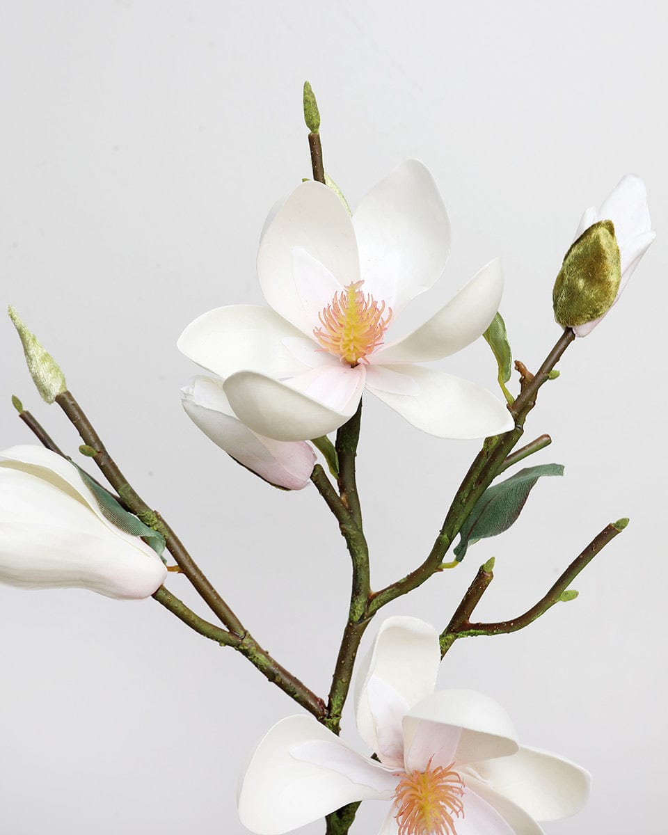 White Magnolia Tulip Stem 20" Secondary image
