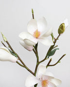White Magnolia Tulip 20" - 2