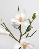 White Magnolia Tulip 20" - 2