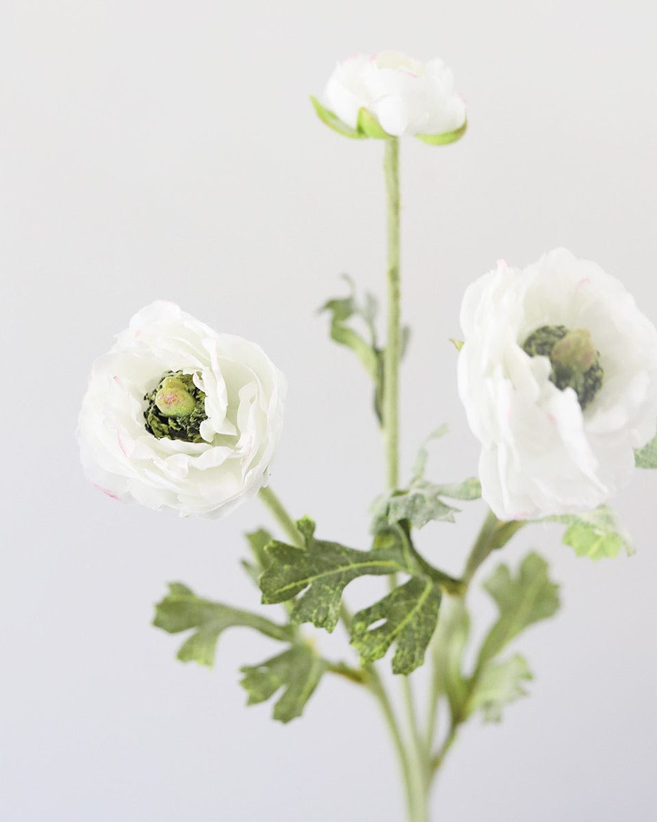 White Ranunculus 18.5" Secondary image