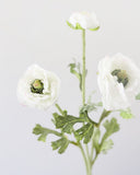 White Ranunculus 18.5" - 2