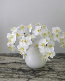 White Orchid Phalaenopsis 23" - 2