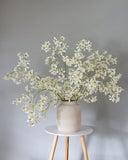 Dancing Oncidium Orchid 46.5" - 2