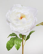 White Peony 19.5" - 2