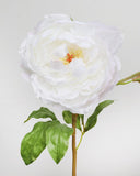 White Peony 19.5" - 2