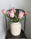 Pink Mink Protea 29" - 2