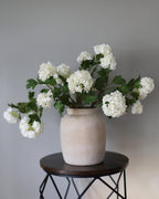 Premium Cream Snowball 33" - 2