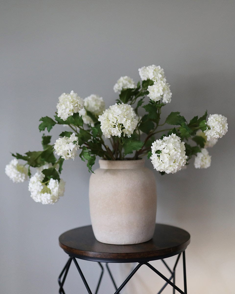 Premium Cream Snowball 33" - 2