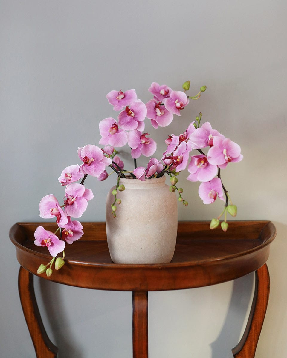 Pink Flowering Phalaenopsis Orchid 34" - 2