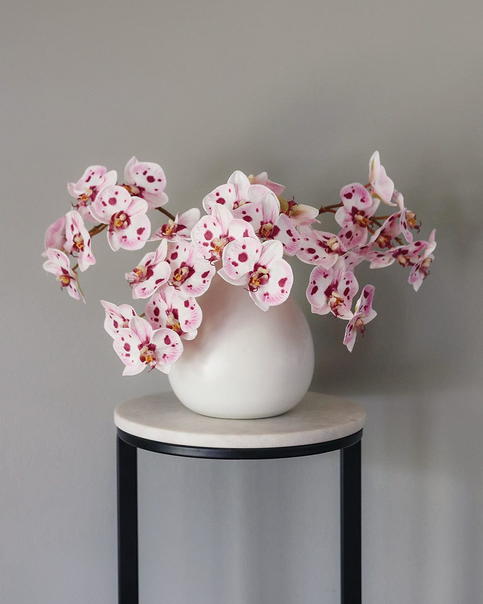 Pink Spotted Phalaenopsis Orchid 22” - 1 Main image