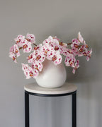 Pink Spotted Phalaenopsis Orchid 22” - 1