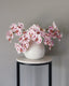 Pink Spotted Phalaenopsis Orchid 22” - 1