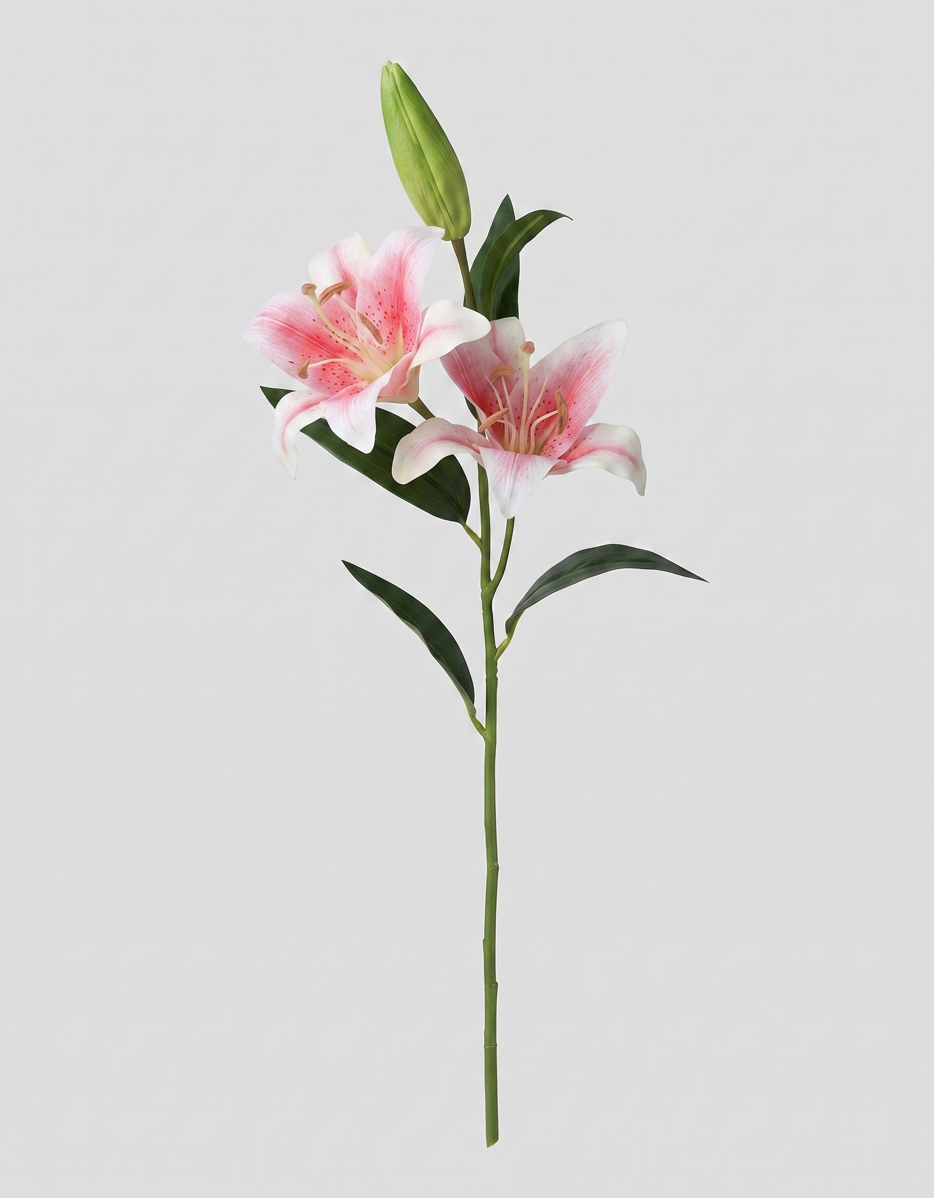 Casablanca Real Touch Large Lily Single Stem - Pink (edited v2)