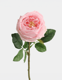Real Touch English Austin Rose Single Stem