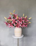Plum Stargazer Lily 37.5" - 2