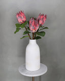 Burgundy Faux King Protea 23.5" - 2