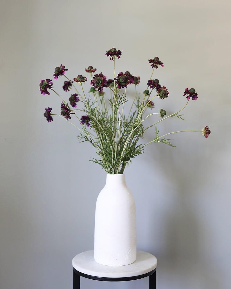 Violet Scabiosa Wildflower 29" Secondary image