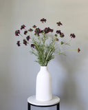 Violet Scabiosa Wildflower 29" - 2