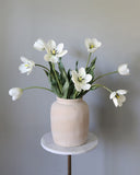 Cream White Tulip 22.5" - 2