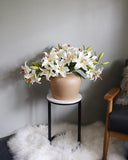 White Stargazer Lily 29" - 2