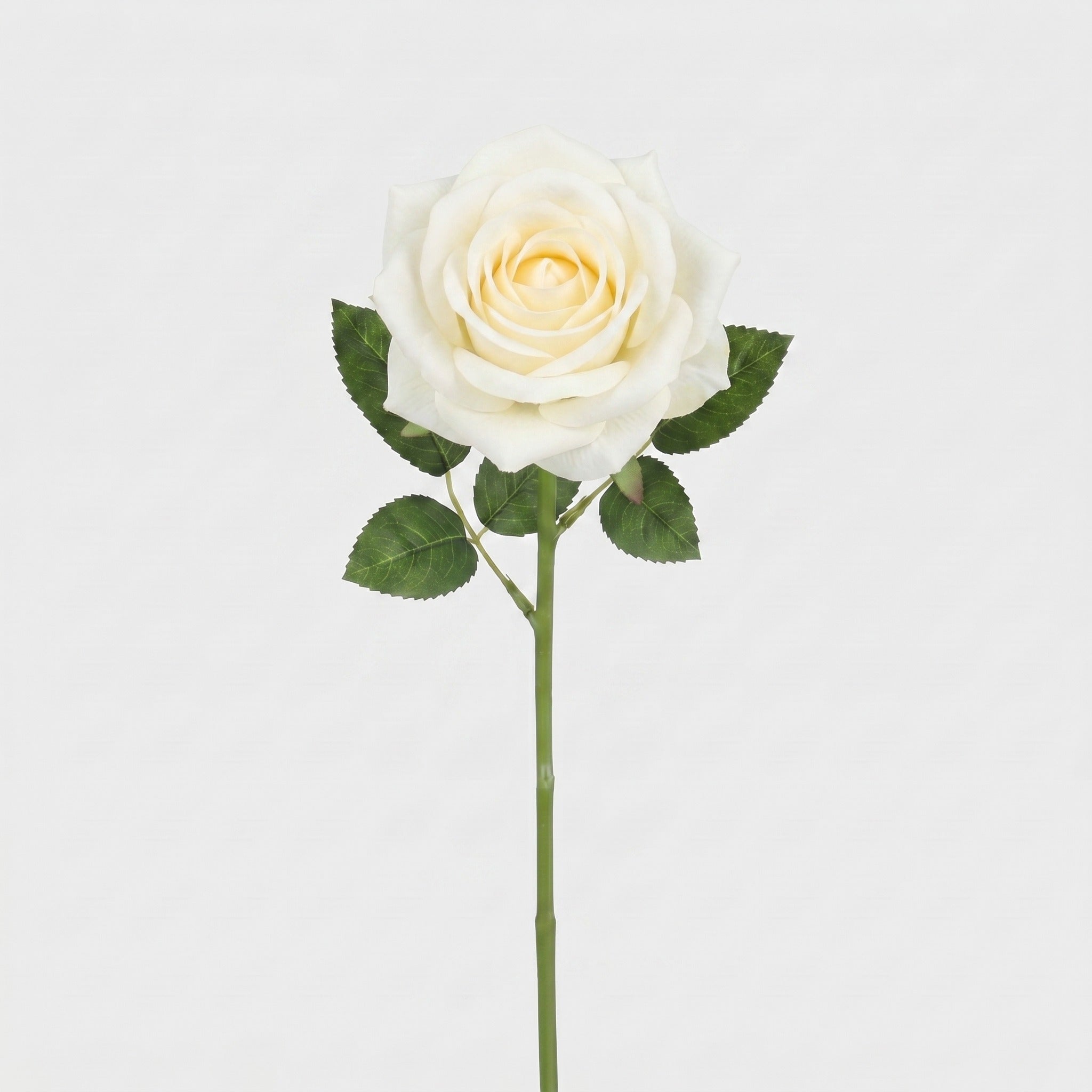 Large Rose Single Stem - White