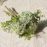 3 Berry Bundle - White