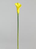 Large Calla Lily Single Stem - Yellow - full stem (Studio Gray)