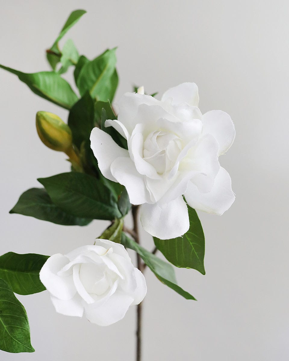 White Faux Gardenia 26” - 3