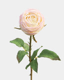 Real Touch Cream Pink English Rose 24" - 3
