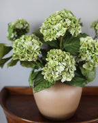 Green Double Hydrangea 36" - 3