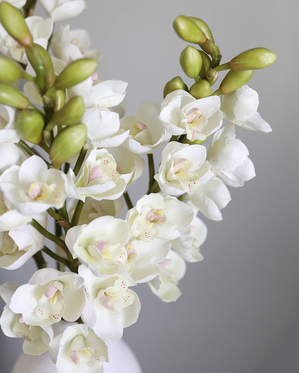 Cream Cymbidium Orchid 33" - 3