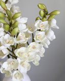 Cream Cymbidium Orchid 33" - 3