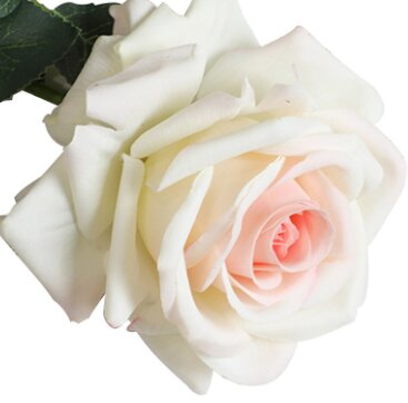 Large Rose Single Stem - Milk Pink
