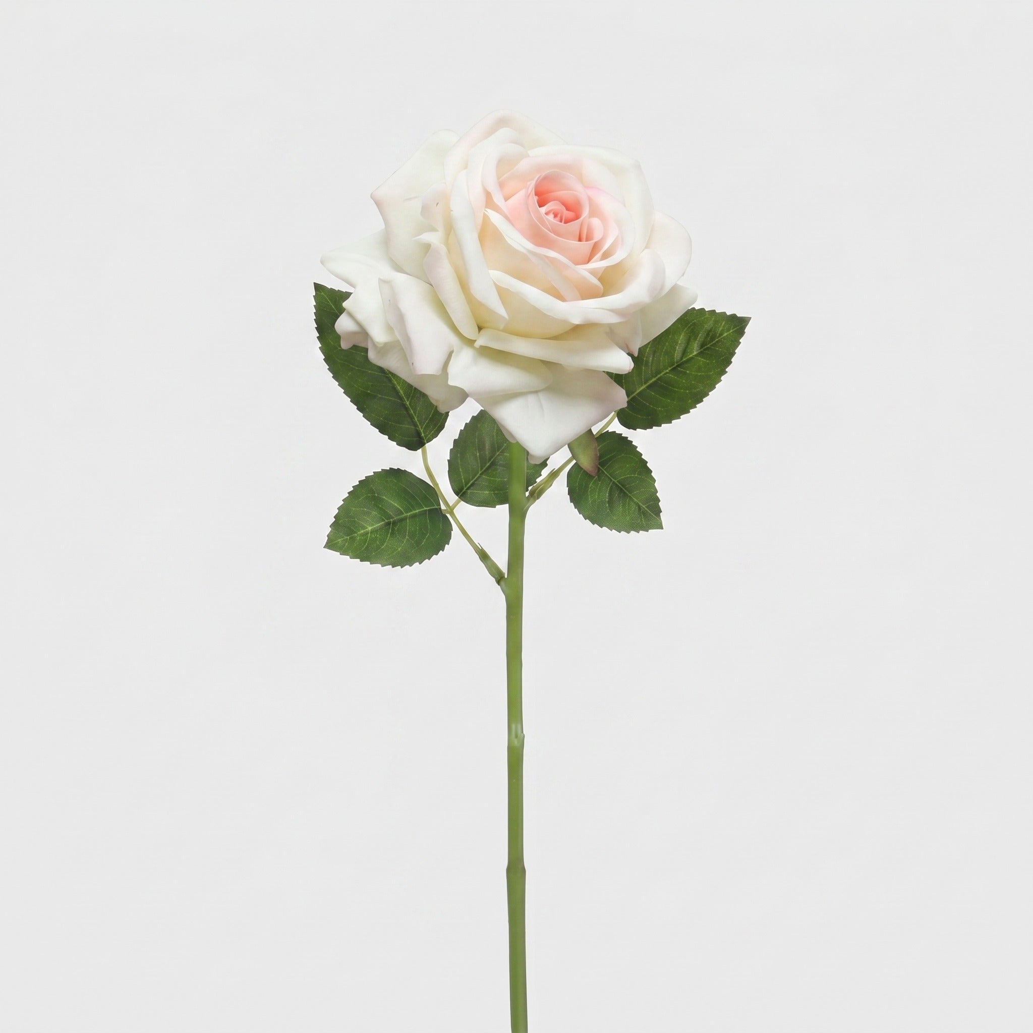 Large Rose Single Stem - Pink