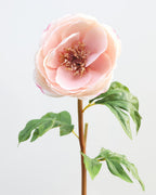 Real Touch Open Pink Peony 21.5" - 3