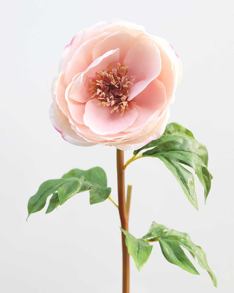 Real Touch Open Pink Peony 21.5" - 3