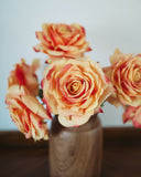 Sunset Dutchess Rose 20" - 3
