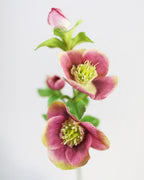Real Touch Mauve Pink Hellebore 18" - 3