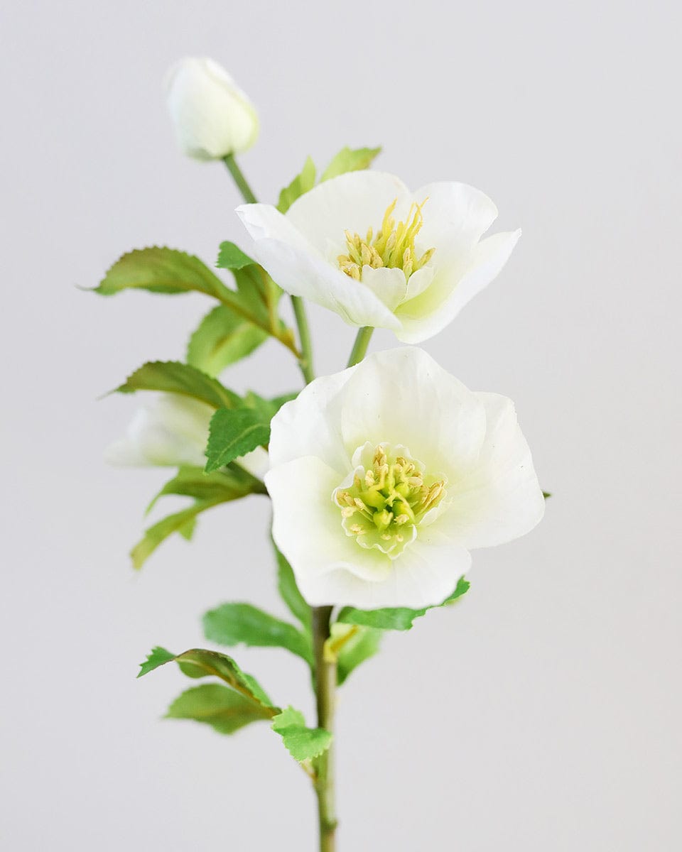 Real Touch White Hellebore 18" - 3