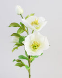Real Touch White Hellebore 18" - 3