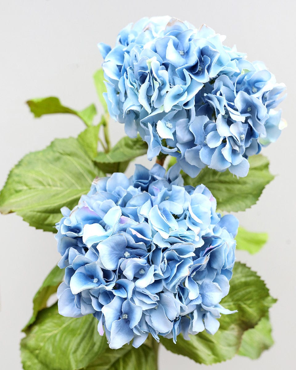 Blue Double Hydrangea 36" - 3