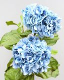Blue Double Hydrangea 36" - 3
