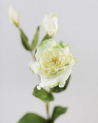 Real Touch Cream Green Lisianthus 22” - 3