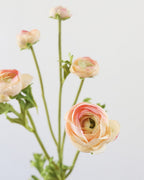 Real Touch Apricot Ranunculus 22” - 3