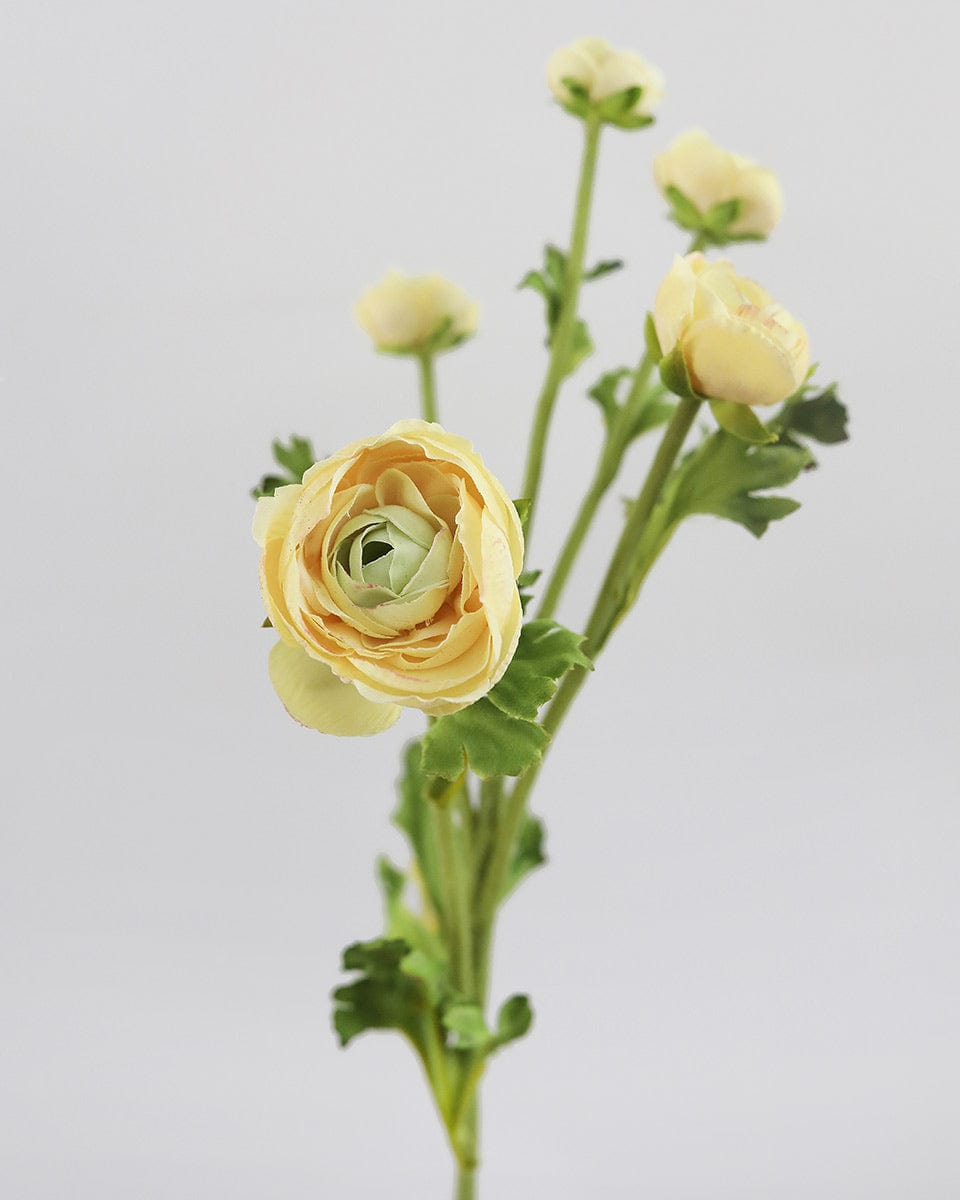 Real Touch Yellow Ranunculus 22” - 3