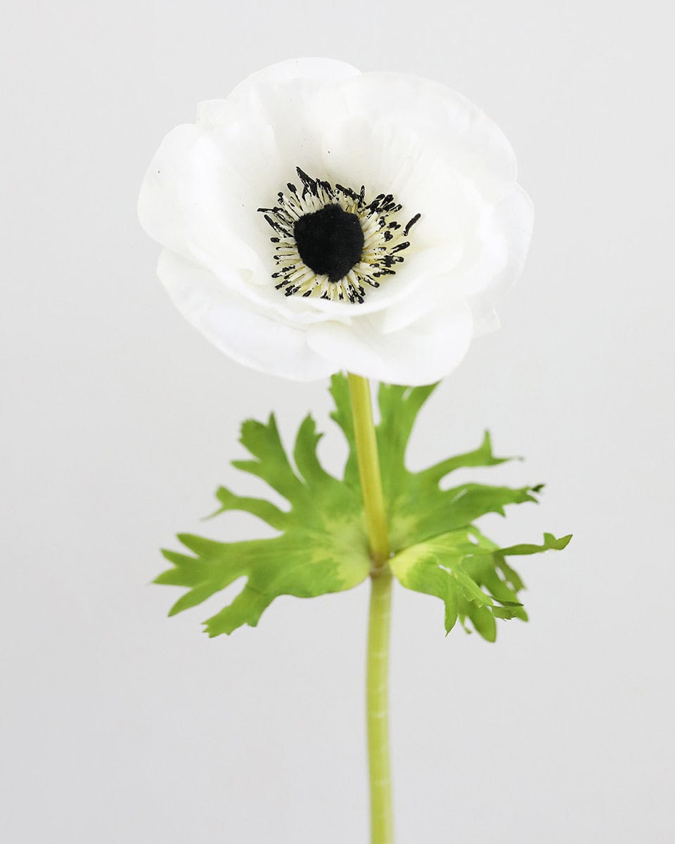 Real Touch White Anemone 17.5” - 3